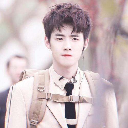 娱乐大爆料任豪,揭秘明星背后的故事与精彩瞬间