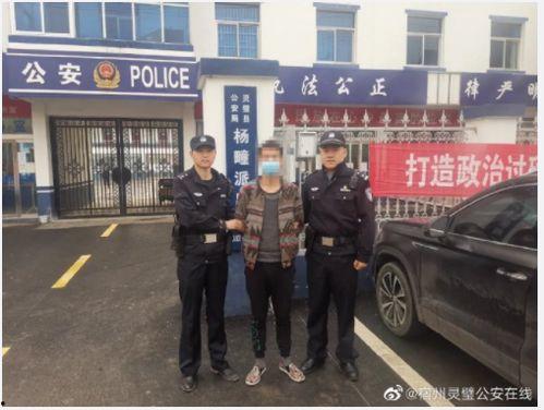 新安县爆料视频,真实事件引发网友热议